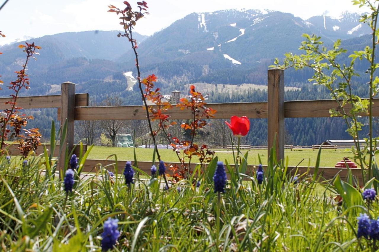 Casa Yara - Agenzia Dolomiti Affitti Cavalese